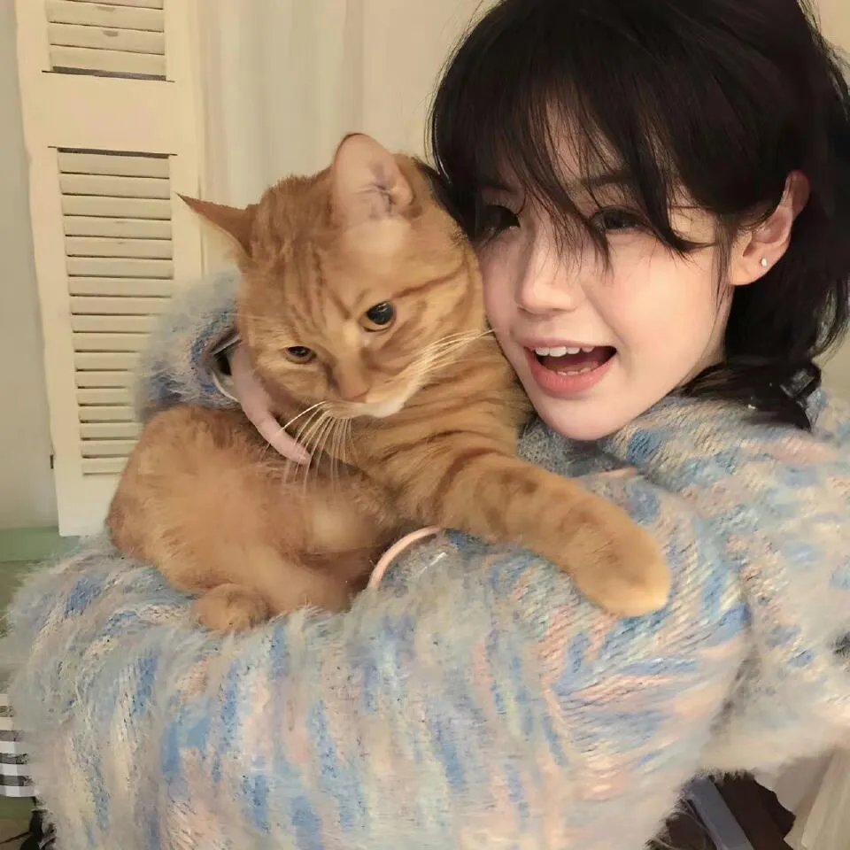 韩塞尔和葛雷特的格林世界大冒险