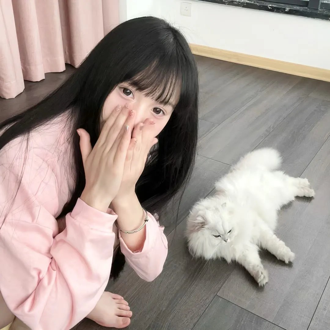 全力兔子第二季